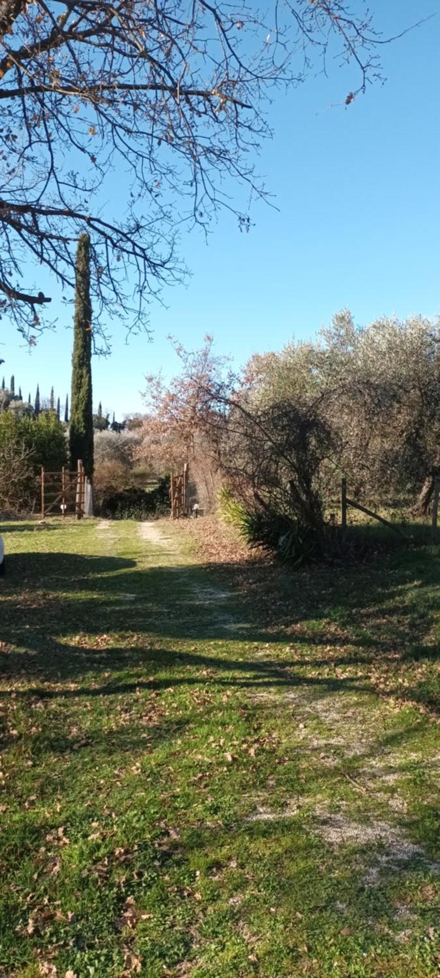 Casa In Maremma Apartamento Montemerano Exterior foto