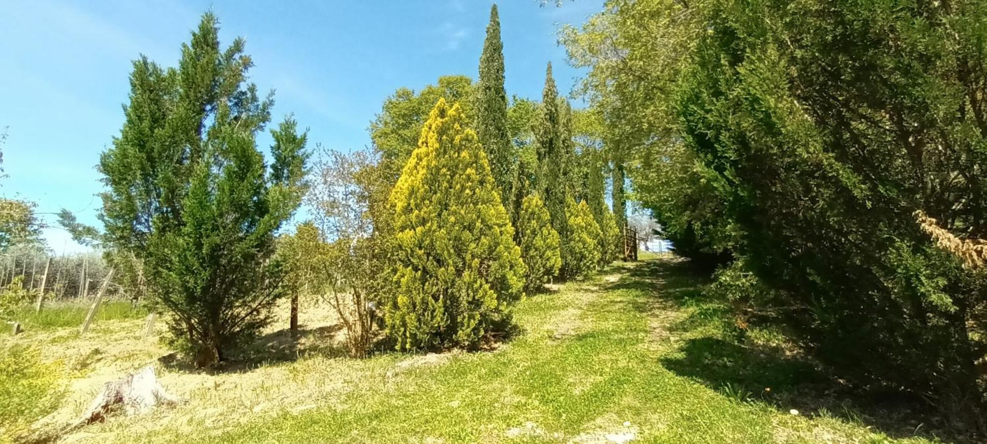 Casa In Maremma Apartamento Montemerano Exterior foto
