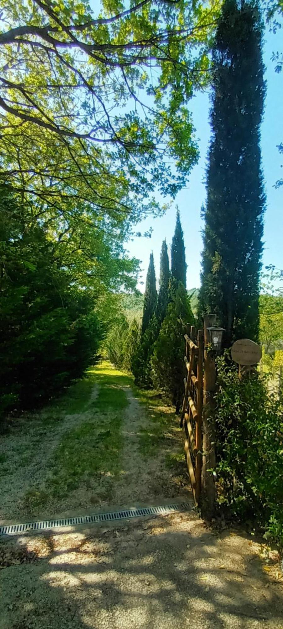Casa In Maremma Apartamento Montemerano Exterior foto